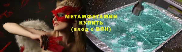 ГАЛЛЮЦИНОГЕННЫЕ ГРИБЫ Дмитриев
