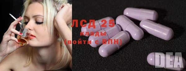 ГАЛЛЮЦИНОГЕННЫЕ ГРИБЫ Дмитриев
