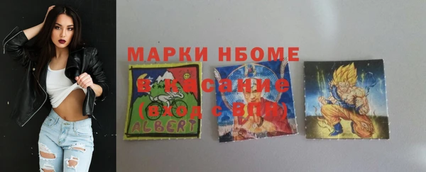 ГАЛЛЮЦИНОГЕННЫЕ ГРИБЫ Дмитриев