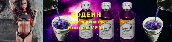 ГАЛЛЮЦИНОГЕННЫЕ ГРИБЫ Дмитриев