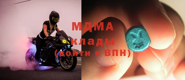 ГАЛЛЮЦИНОГЕННЫЕ ГРИБЫ Дмитриев