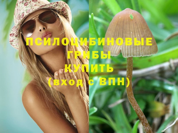 герыч Дмитров