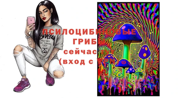 герыч Дмитров