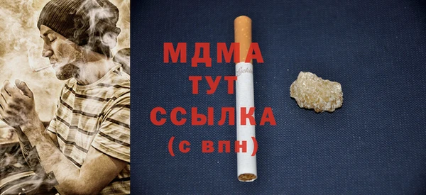 ГАЛЛЮЦИНОГЕННЫЕ ГРИБЫ Дмитриев
