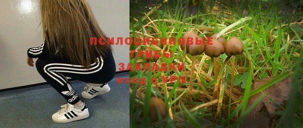герыч Дмитров