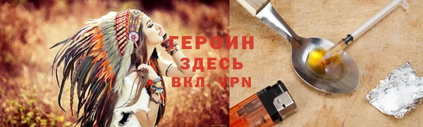 ГАЛЛЮЦИНОГЕННЫЕ ГРИБЫ Дмитриев