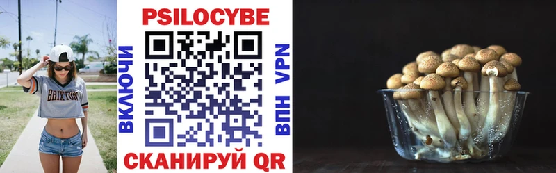 Галлюциногенные грибы Psilocybe  Купить  Новодвинск 